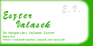 eszter valasek business card